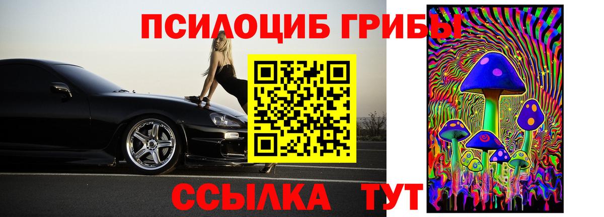 Галлюциногенные грибы Psilocybine cubensis  Вход с VPN  Добрянка 